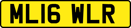 ML16WLR