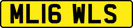ML16WLS