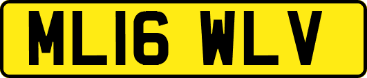 ML16WLV