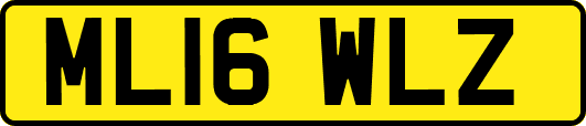 ML16WLZ