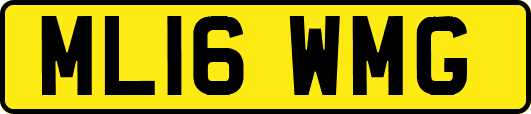 ML16WMG