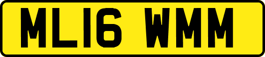 ML16WMM