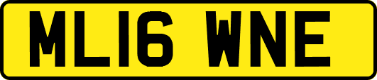ML16WNE