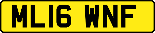 ML16WNF