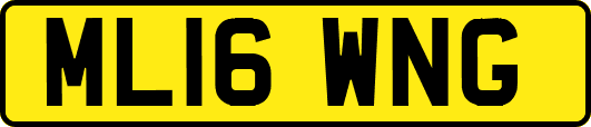 ML16WNG