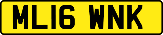 ML16WNK