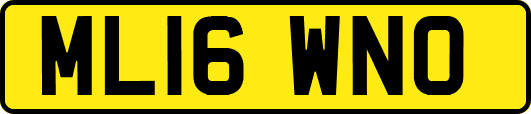 ML16WNO