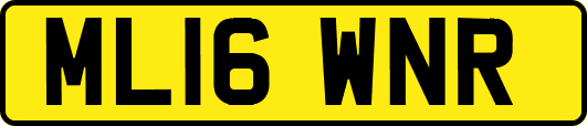 ML16WNR