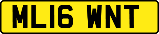 ML16WNT