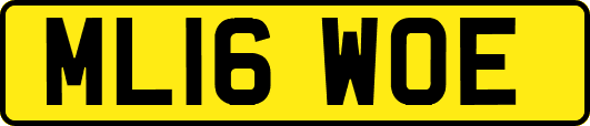 ML16WOE