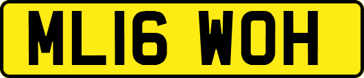 ML16WOH