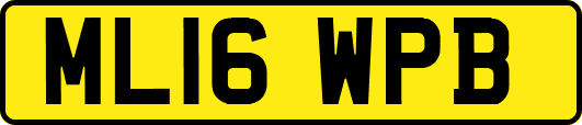 ML16WPB