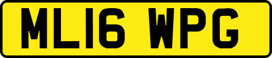 ML16WPG