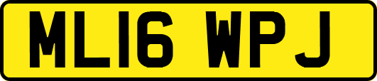 ML16WPJ