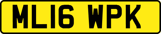 ML16WPK
