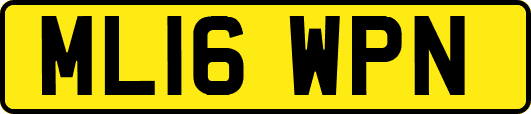 ML16WPN