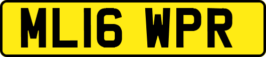 ML16WPR