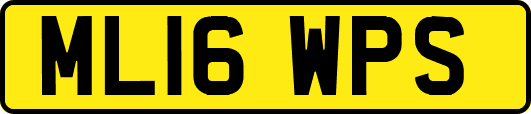 ML16WPS