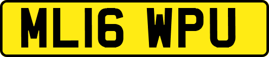 ML16WPU