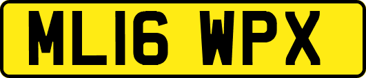 ML16WPX