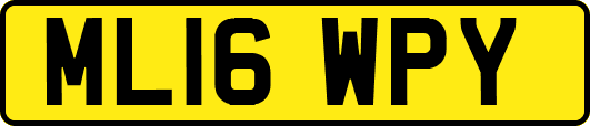 ML16WPY