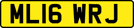 ML16WRJ