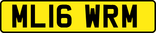ML16WRM