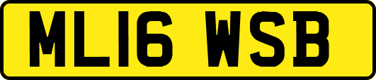 ML16WSB