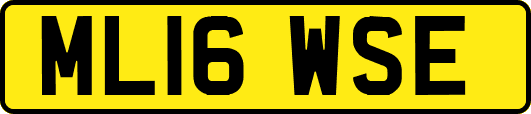 ML16WSE