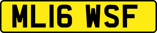 ML16WSF