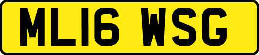 ML16WSG