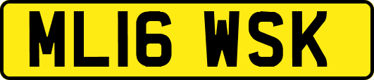 ML16WSK