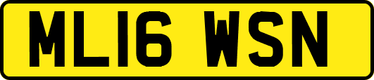 ML16WSN