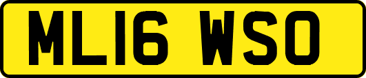 ML16WSO