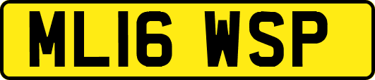ML16WSP