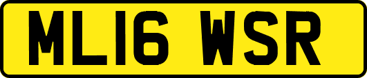 ML16WSR