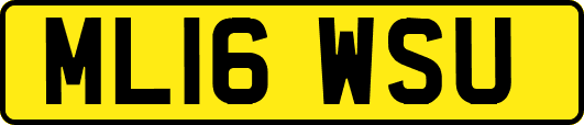 ML16WSU