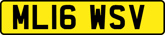 ML16WSV
