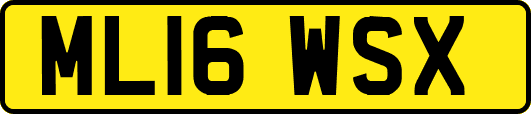 ML16WSX