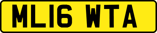 ML16WTA