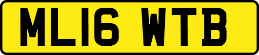ML16WTB