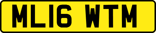 ML16WTM