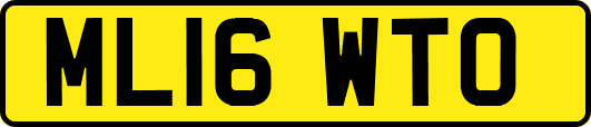 ML16WTO