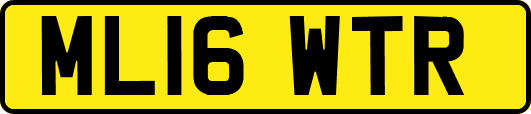 ML16WTR