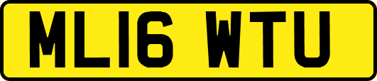 ML16WTU