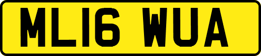 ML16WUA