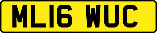 ML16WUC