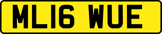 ML16WUE