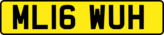 ML16WUH