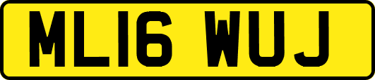 ML16WUJ